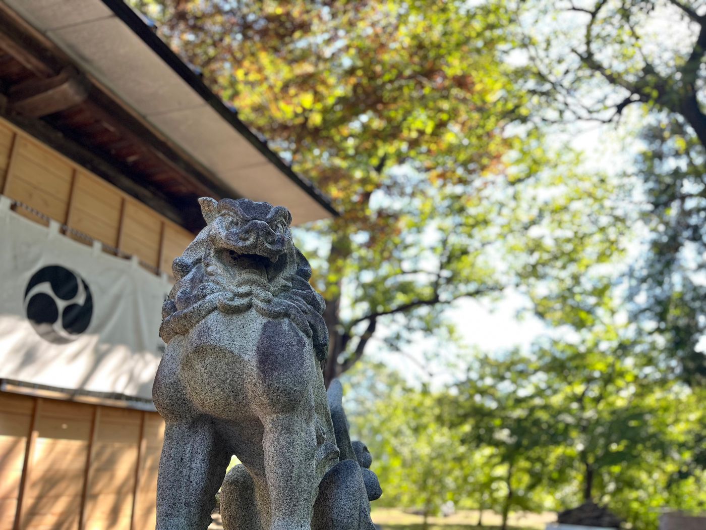 社殿を守る狛犬