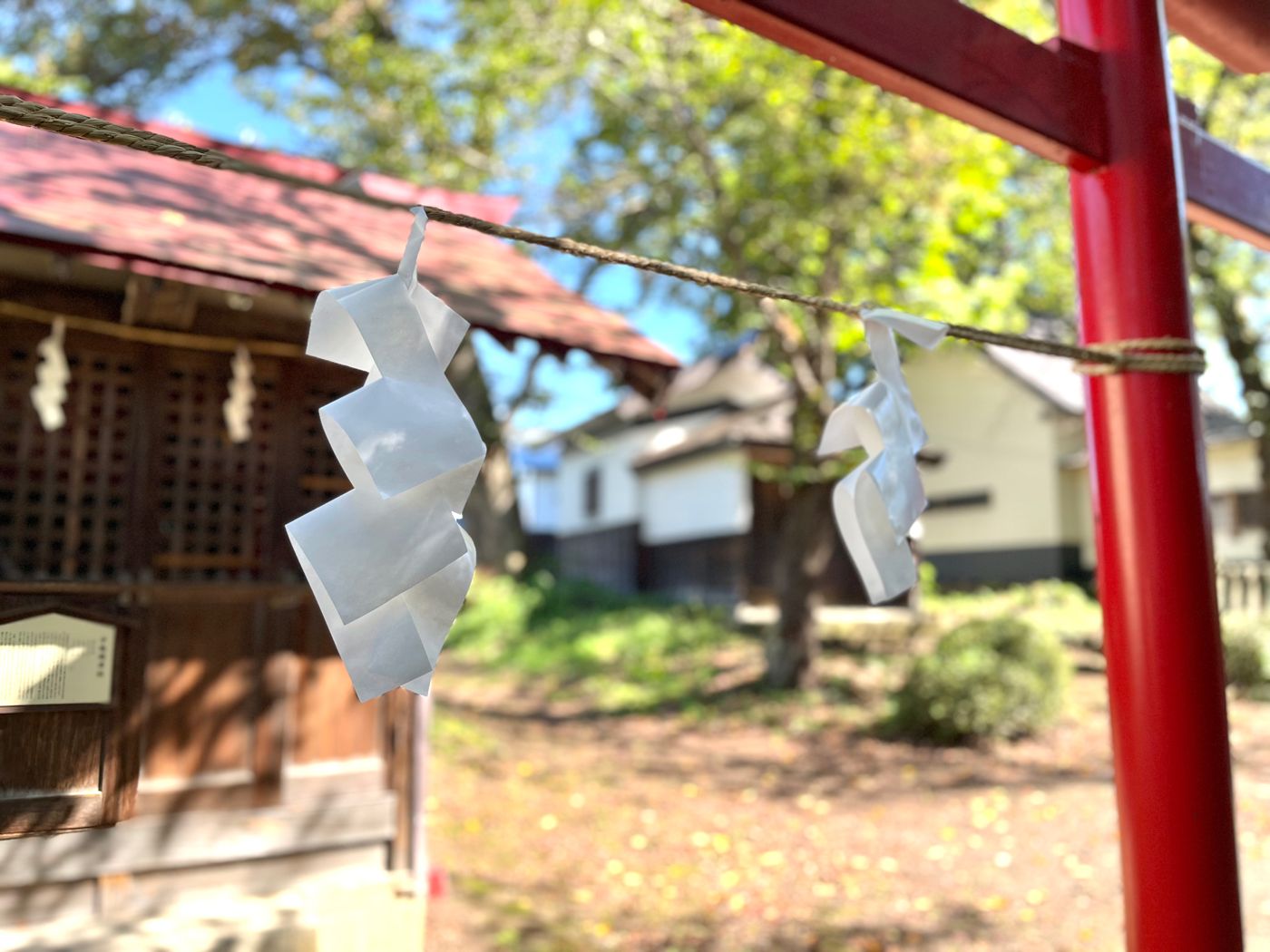 鳥居に結ばれた紙垂が風に揺れる境内